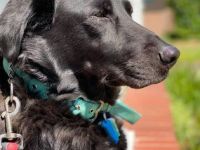 So… How DID I Get Here?  Part 8&nbsp;Epilogue.